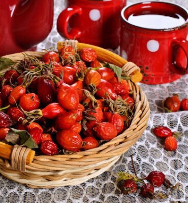 csipkebogyo-szorp-keszitese-az-elso-fagyok-utan Csipkebogyó szörp készítése az első fagyok után