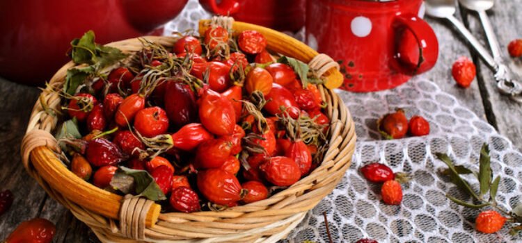 Csipkebogyó szörp készítése az első fagyok után