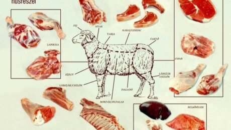 A juh/birka/bárány/ürü részeinek felhasználása: melyik húsból mit főzzünk?