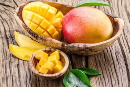 mango-fogyasztas-elonyei-felhasznalasa-receptek-mangoval-es-amit-a-vasarlasanal-tudni-kell