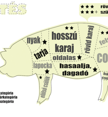 sertes-reszeinek-felhasznalasa-melyik-husbol-mit-fozzunk Sertés részeinek felhasználása