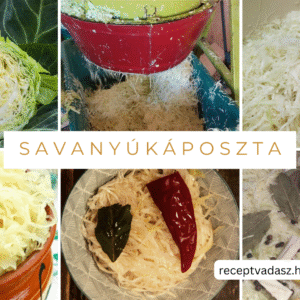 Savanyú káposzta készítése házilag